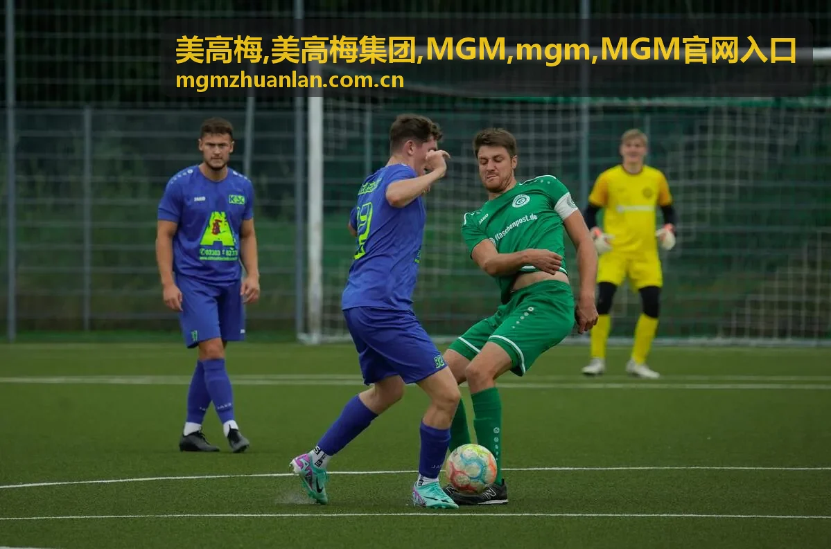 如何识别 MGM官网入口信息配图