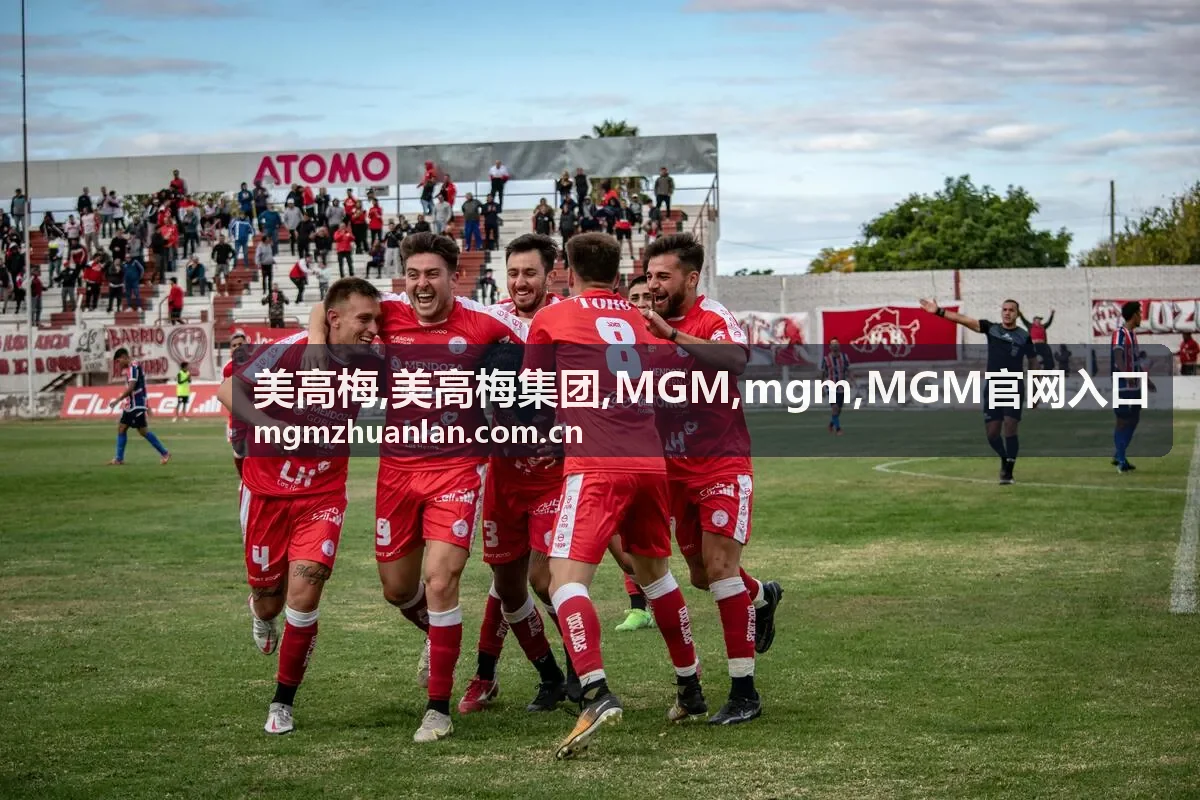 MGM官网入口访问流程说明配图